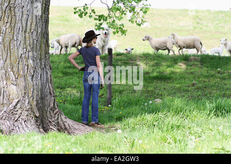 Una donna in un cappello da cowboy sorge da un albero guardando un gregge di pecore; Ellston, Iowa, Stati Uniti d'America Foto Stock