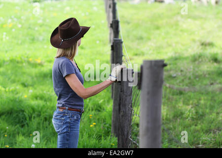 Una donna in un cappello da cowboy sorge in un recinto di guardare un gregge di pecore; Ellston, Iowa, Stati Uniti d'America Foto Stock