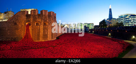 LONDON, Regno Unito - 27 OTTOBRE 2014: una vista panoramica della ceramica papaveri del " sangue spazzata di terre e mari di rosso' installazione Foto Stock