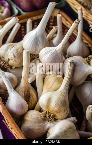 Aglio intero radici in un cestello. Foto Stock