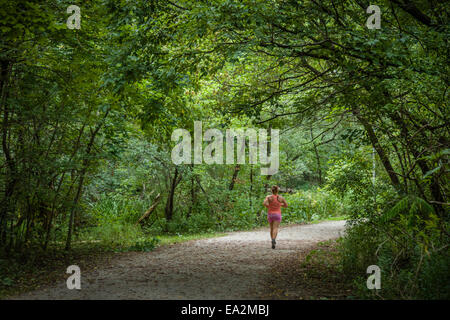 Donna di jogging sul percorso nella foresta. Foto Stock