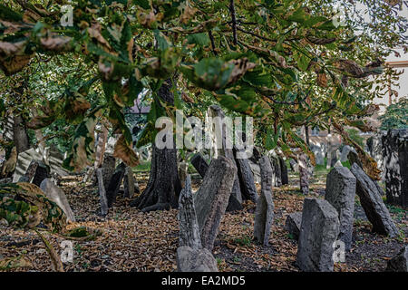 Affollato di grigio gli oggetti contrassegnati per la rimozione definitiva nel vecchio cimitero ebraico di Praga Foto Stock