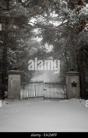 Spooky vecchio rotto sul cancello carraio in inverno Foto Stock