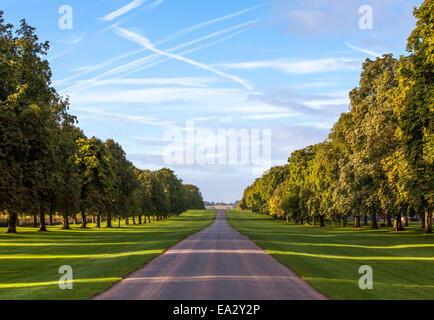 La lunga passeggiata, Windsor, Berkshire, Inghilterra, Regno Unito, Europa Foto Stock