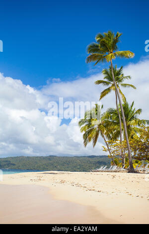 Cayo Levantado, Samana, Est della penisola di Samana, Repubblica Dominicana, West Indies, dei Caraibi e America centrale Foto Stock