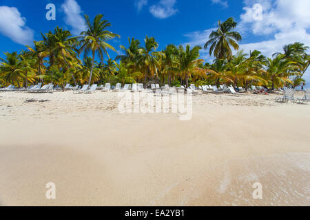 Cayo Levantado, Samana, Est della penisola di Samana, Repubblica Dominicana, West Indies, dei Caraibi e America centrale Foto Stock