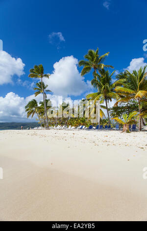 Cayo Levantado, Samana, Est della penisola di Samana, Repubblica Dominicana, West Indies, dei Caraibi e America centrale Foto Stock