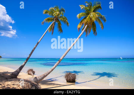 El Portillo Beach, Las Terrenas, penisola di Samana, Repubblica Dominicana, West Indies, dei Caraibi e America centrale Foto Stock