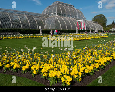La Casa delle Palme in primavera, Royal Botanic Gardens, Sito Patrimonio Mondiale dell'UNESCO, Kew, London, England, Regno Unito, Europa Foto Stock