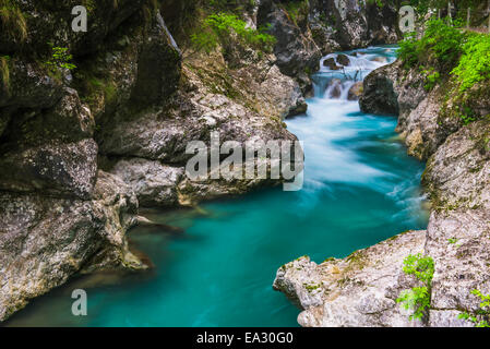 Fiume Tolminka, Tolmin gole, il Parco Nazionale del Triglav (del Tricorno narodni park), Slovenia, Europa Foto Stock