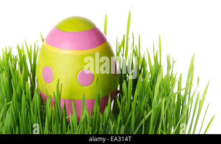 Decorate le uova di pasqua in erba isolati su sfondo bianco Foto Stock