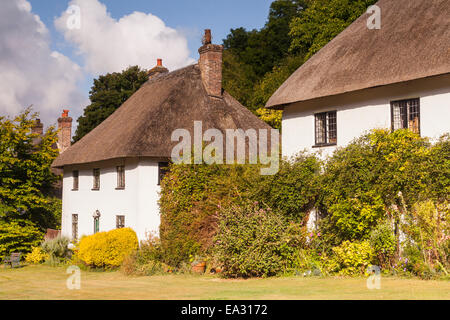 Cottage con il tetto di paglia in Milton Abbas, Dorset, England, Regno Unito, Europa Foto Stock