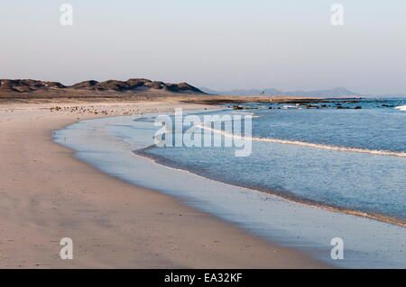 Isola di Masirah, Oman, Medio Oriente Foto Stock