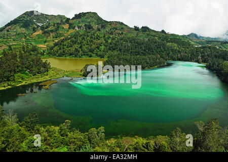 Telaga Warna (Lago colorato), Dieng Plateau, Java, Indonesia, Asia sud-orientale, Asia Foto Stock