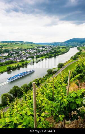 La nave di crociera passando un vigneto in Muehlheim,, Valle della Mosella, Renania-Palatinato, Germania, Europa Foto Stock