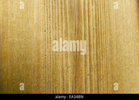 venatura del rovere vecchio Foto Stock
