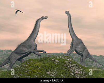 Brachiosaurus dinosauri lotta - 3D render Foto Stock