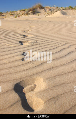 Impronte in un deserto Foto Stock
