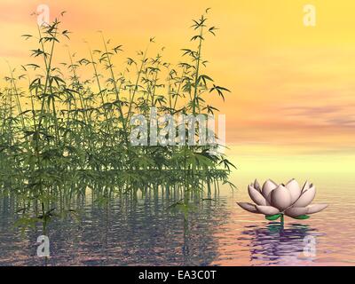 Natura Zen - 3D render Foto Stock