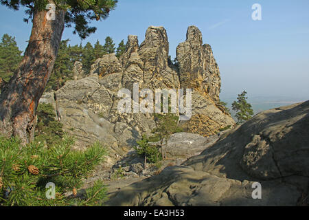 Muri del Diavolo, Harz, Germania Foto Stock