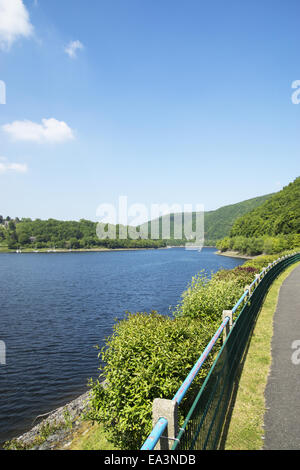 Rursee vicino Rurberg, Eifel, Germania Foto Stock