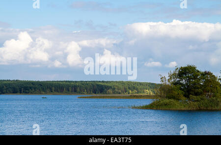 Lago Seliger, Regione di Tver, Russia Foto Stock