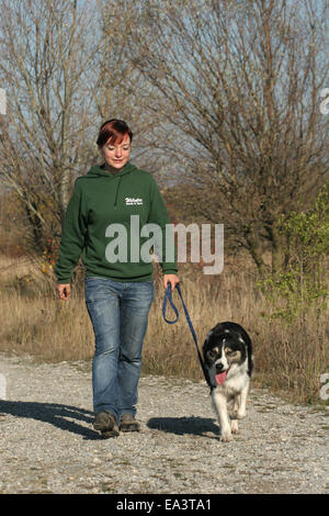a spasso il cane Foto Stock