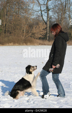 Giocando con il cane Foto Stock