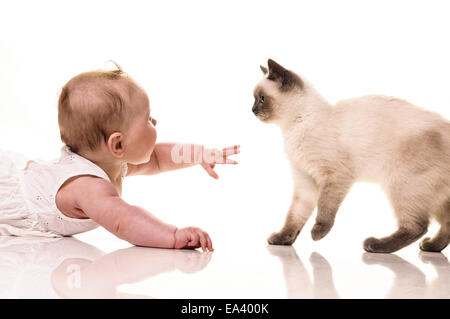 Bambino con gattino Foto Stock