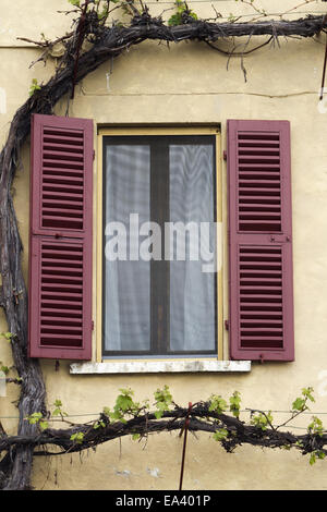 Muro di casa con finestra Foto Stock