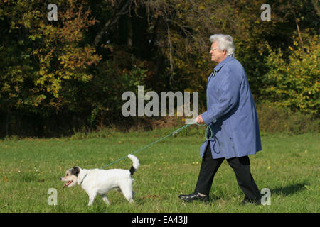 Donna e Parson Russell Terrier Foto Stock