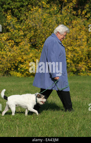 Donna e Parson Russell Terrier Foto Stock