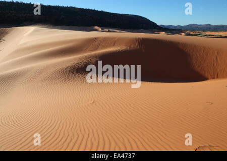 La mattina presto sulla rosa dune di sabbia Foto Stock