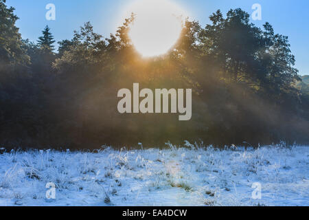 Sunrise in inverno Foto Stock