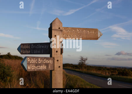 Legno signpost bridleway su Exmoor bagnata nel tardo pomeriggio di sole. Foto Stock