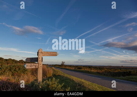 Legno signpost bridleway su Exmoor bagnata nel tardo pomeriggio di sole. Foto Stock