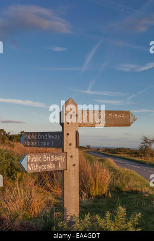 Legno signpost bridleway su Exmoor bagnata nel tardo pomeriggio di sole. Foto Stock