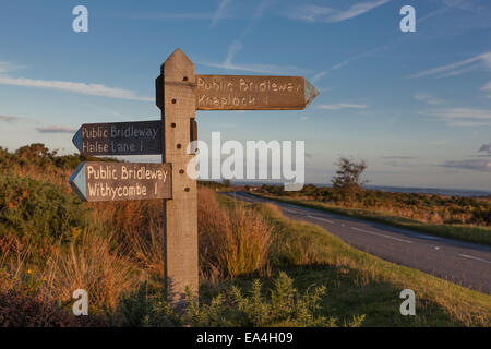 Legno signpost bridleway su Exmoor bagnata nel tardo pomeriggio di sole. Foto Stock