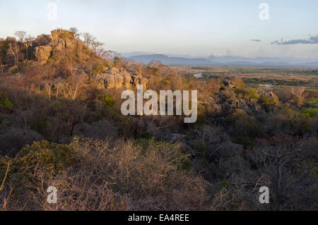 Vista serale da Iharana bush camp del Madagascar Foto Stock