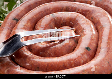 Tipica siciliana salsiccia di maiale, condito con prezzemolo, sesamo e pepe Foto Stock