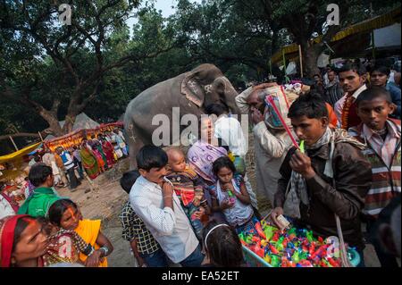 Patna, lo stato indiano del Bihar. 6 Nov, 2014. Gli abitanti di un villaggio indiano visita annuale di Sonepur fiera del bestiame, a circa 25 km di distanza da Patna, capitale dello stato dell India orientale di Bihar, nov. 6, 2014. La fiera si è svolta sulla confluenza del fiume Gange e Gandak. © Tumpa Mondal/Xinhua/Alamy Live News Foto Stock