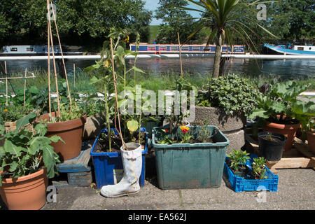 Il riciclo di un vecchio boot e vasi per un fiore giardino lungo le rive del fiume Lea canal a Watermint Quay,Hackney, Londra, Inghilterra. Foto Stock