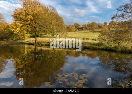 Parco circostante la terra intorno Hardwick Hall nel Derbyshire. Foto Stock