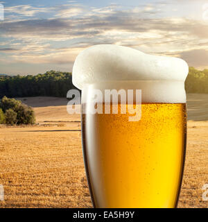 Bicchiere di birra contro il campo di grano Foto Stock