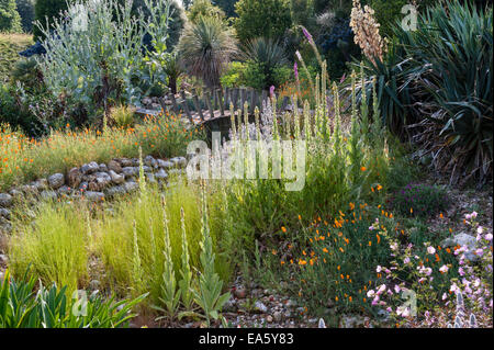 East Ruston Old Vicarage gardens, Norwich, Norfolk, Regno Unito. Il confine californiano e lavaggio del deserto Foto Stock