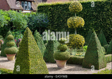 East Ruston Old Vicarage gardens, Norwich, Norfolk, Regno Unito. Il giardino olandese Foto Stock