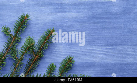 Albero di natale ramo sul blu tavola di legno, sfondo rustico Foto Stock