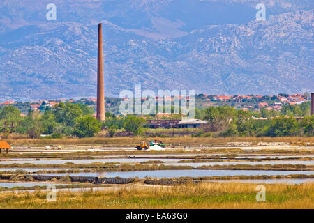 I campi di sale di Nin vista Foto Stock