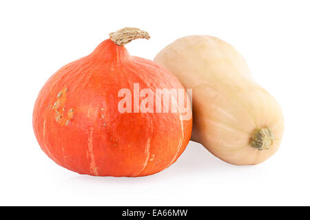 Due zucche hokkaido e butternut Foto Stock