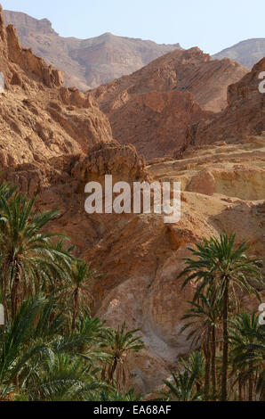 Famosa oasi di montagna Chebika in Tunisia Foto Stock